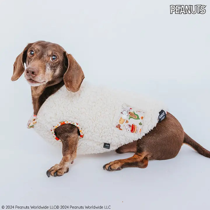 Dog Reversible Sherpa Jacket - Peanuts™ Harvest