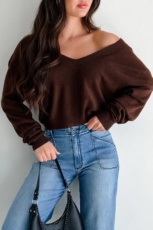 My Main Priority Cashmere Blend V-Neck Sweater (Brown)